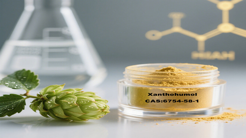 Premium Xanthohumol(CAS 6754-58-1) from Hops Extract: High-Purity Bioactive Flavonoid for Health Innovations